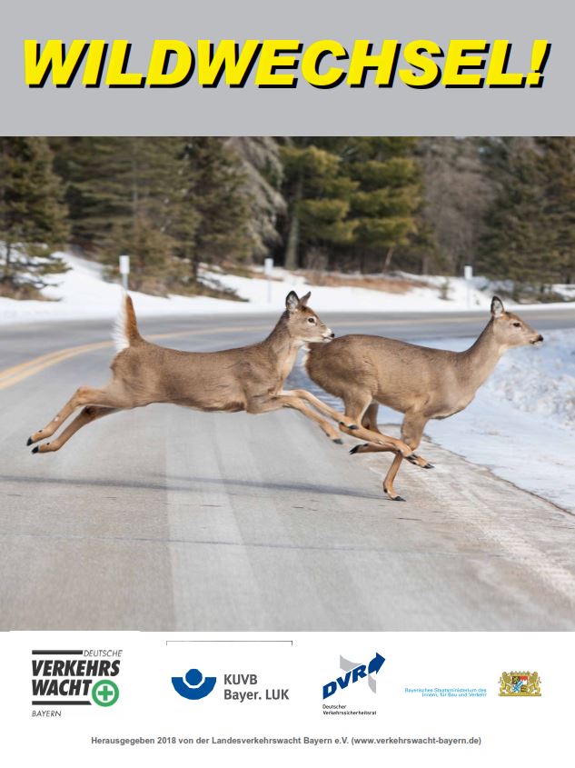 2018-03-Wildwechsel.jpg